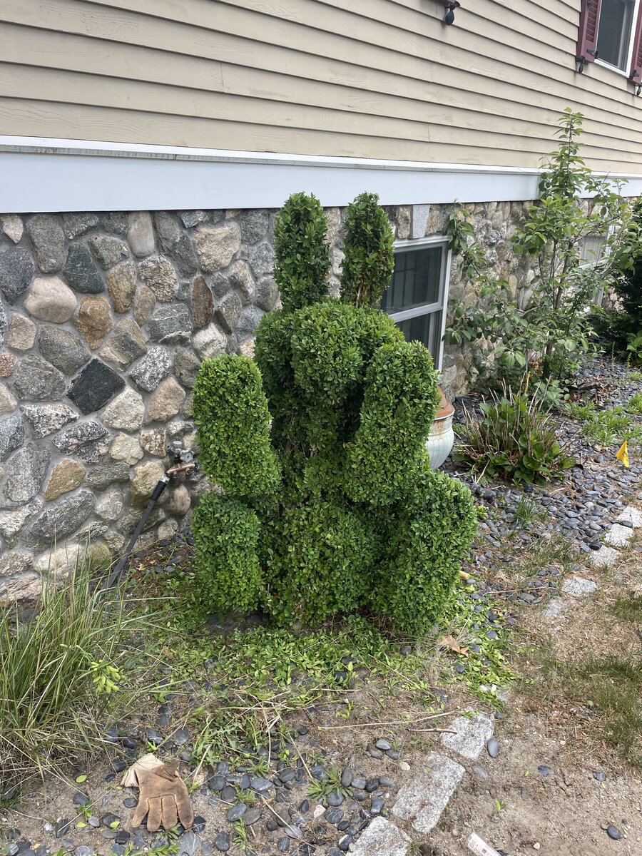 Recent project 2